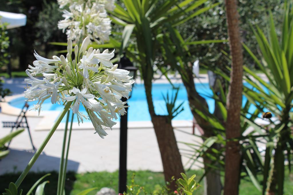 Villa Orchidea Luxury B&B Ispica Extérieur photo